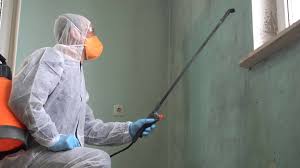 Best Mold Prevention Services  in New Freedom, PA