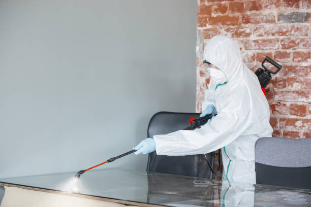 Best Forensic Mold Investigation  in New Freedom, PA